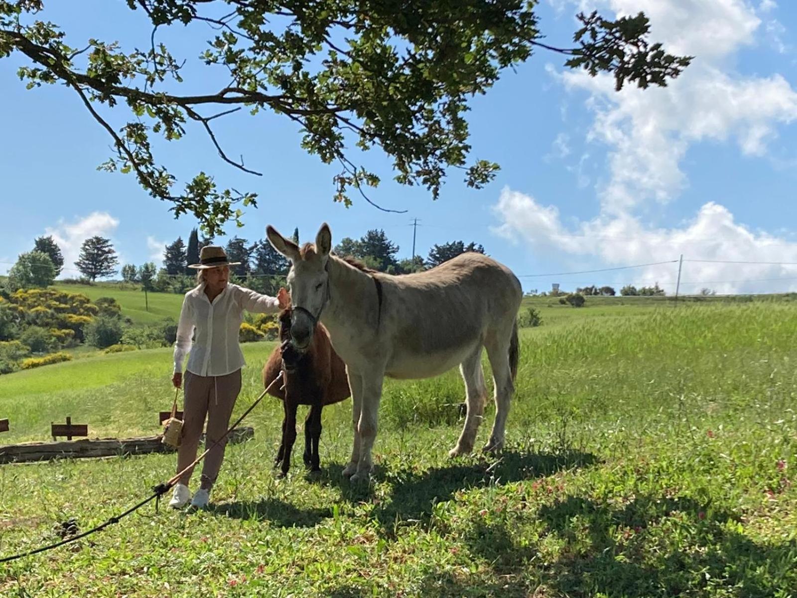 Agriturismo Selvella Radicofani Zewnętrze zdjęcie