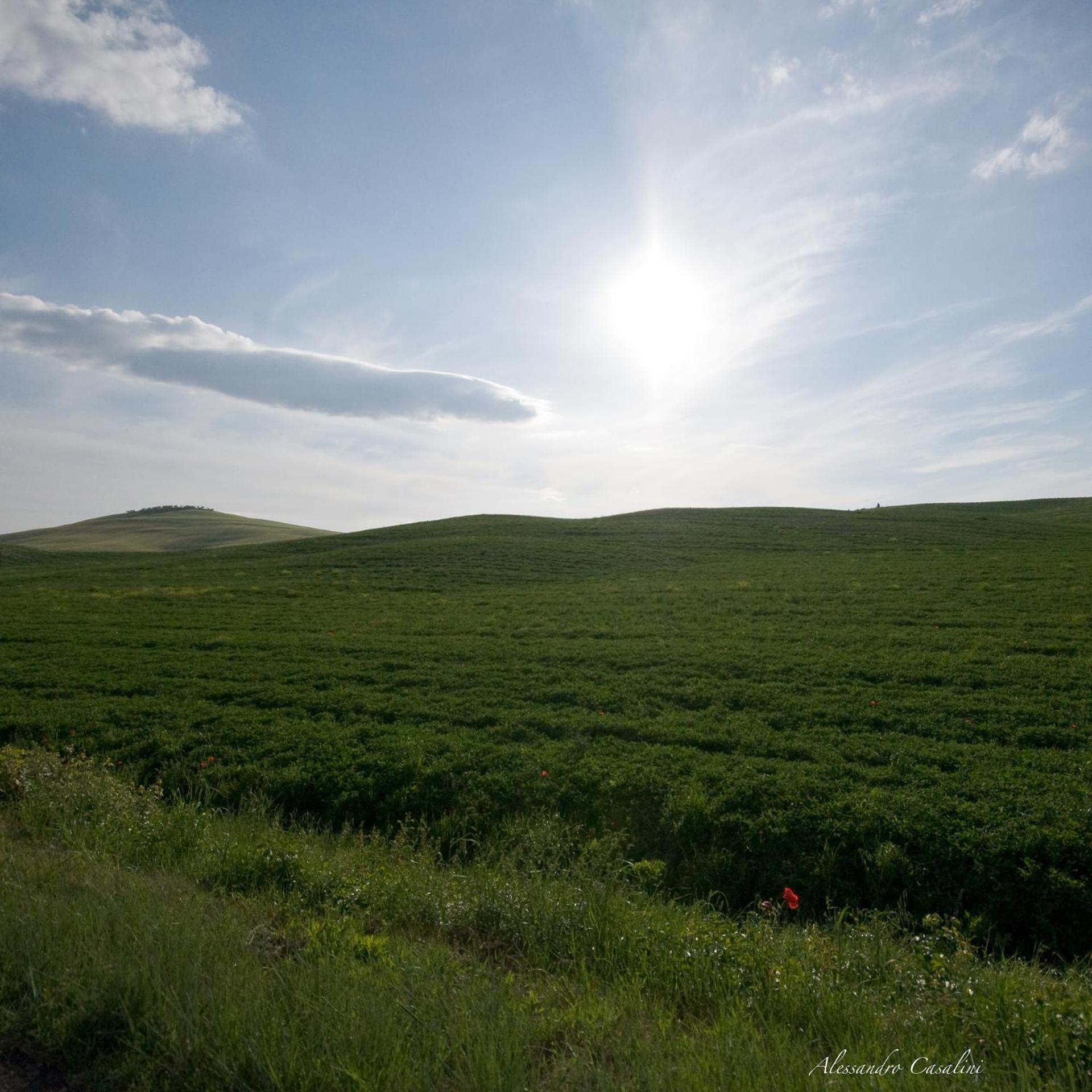 Agriturismo Selvella Radicofani Zewnętrze zdjęcie