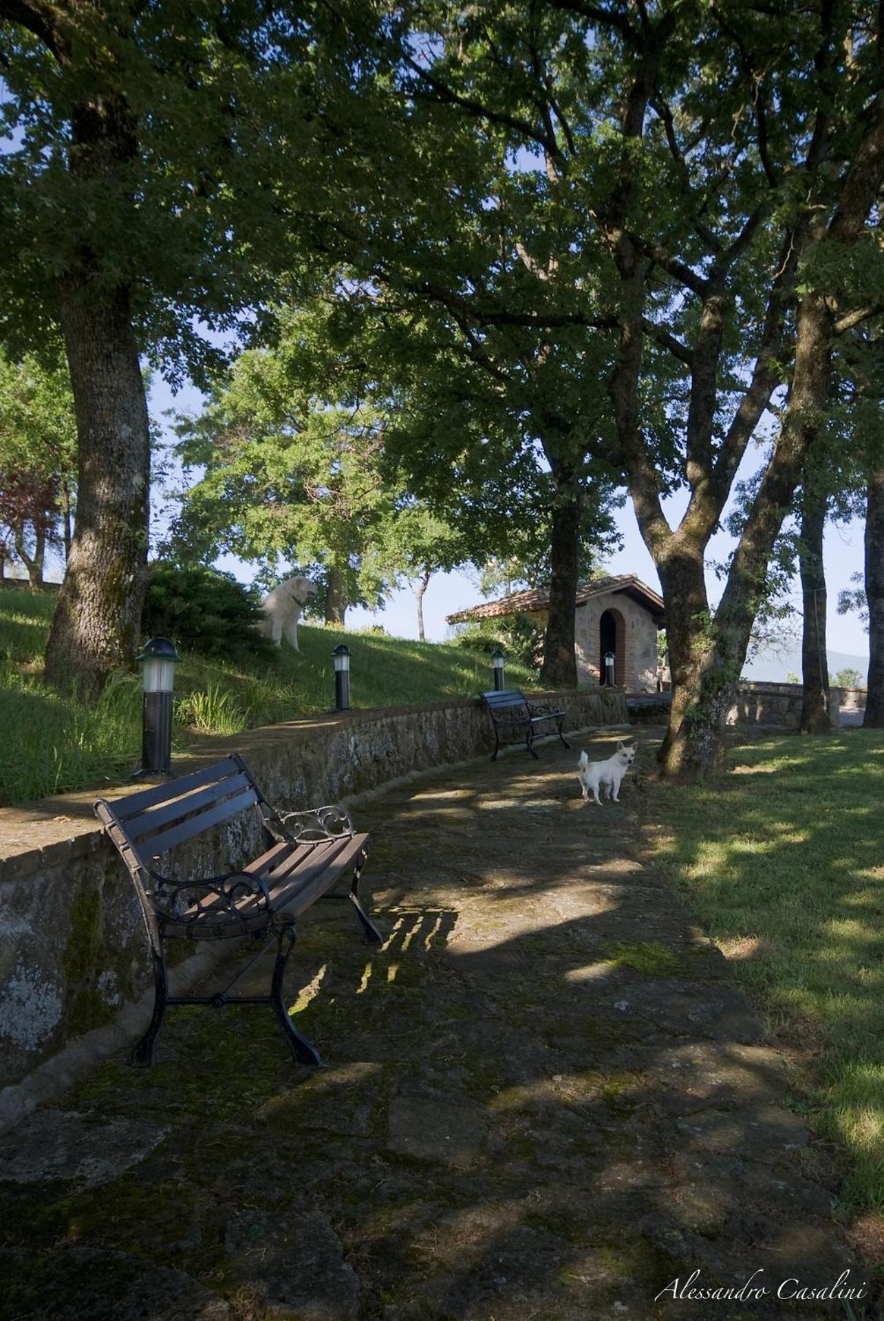 Agriturismo Selvella Radicofani Zewnętrze zdjęcie