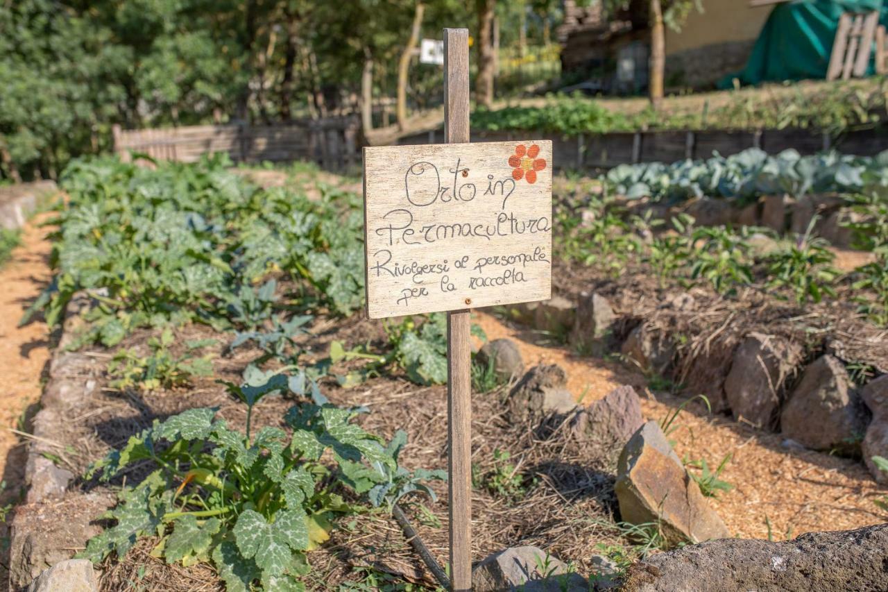 Agriturismo Selvella Radicofani Zewnętrze zdjęcie